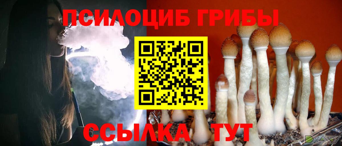 Галлюциногенные грибы ЛСД Нальчик